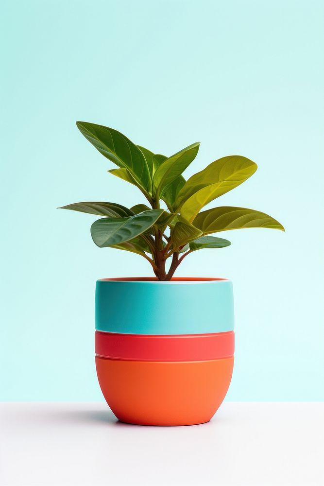 Plant pot vase leaf houseplant. 