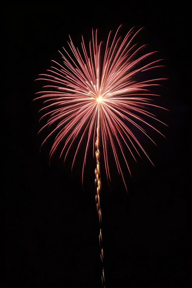 Firework fireworks outdoors nature. 