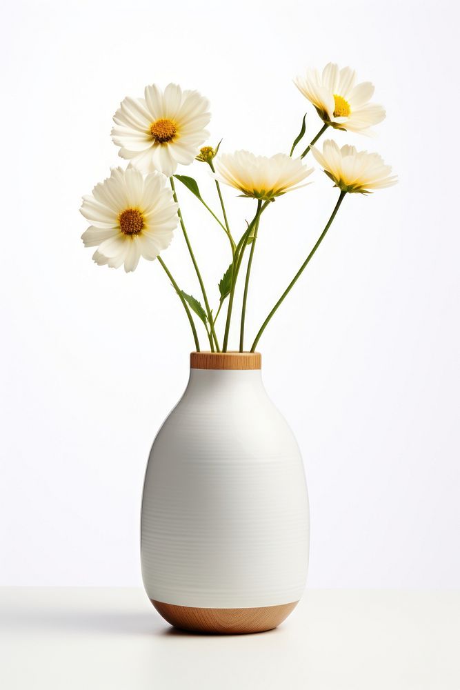 Flower vase plant daisy. AI generated Image by rawpixel.