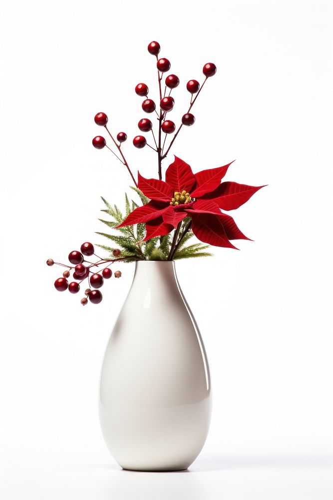 Flower vase christmas plant. AI generated Image by rawpixel.