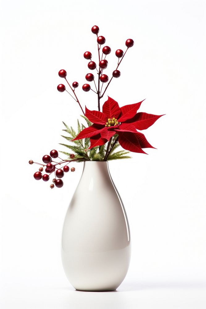 Flower vase christmas plant. 