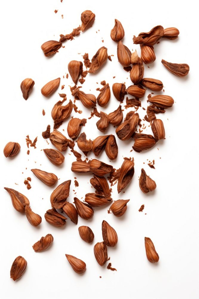 Oak nuts dessert food seed. AI generated Image by rawpixel.