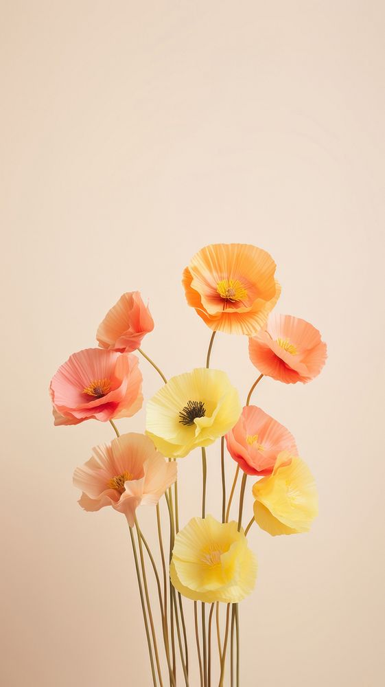 Poppy flower yellow petal. AI generated Image by rawpixel.