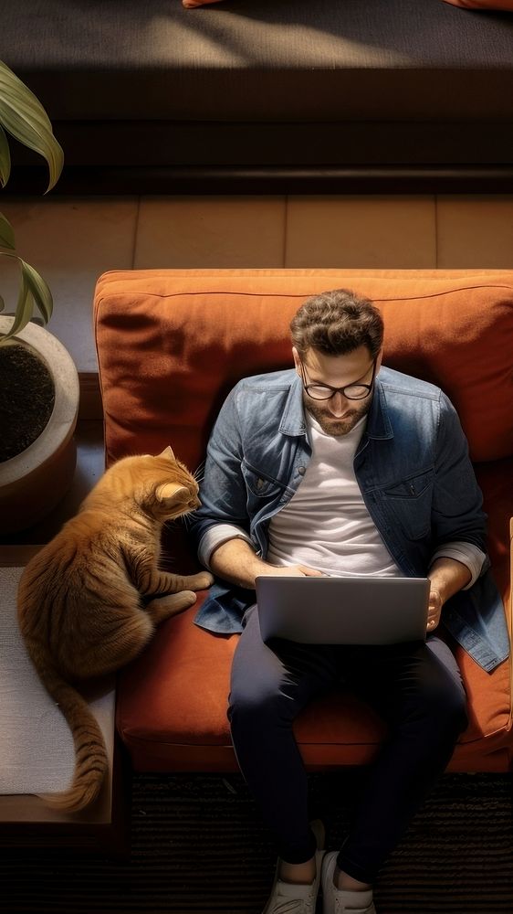 Furniture computer sitting mammal. 