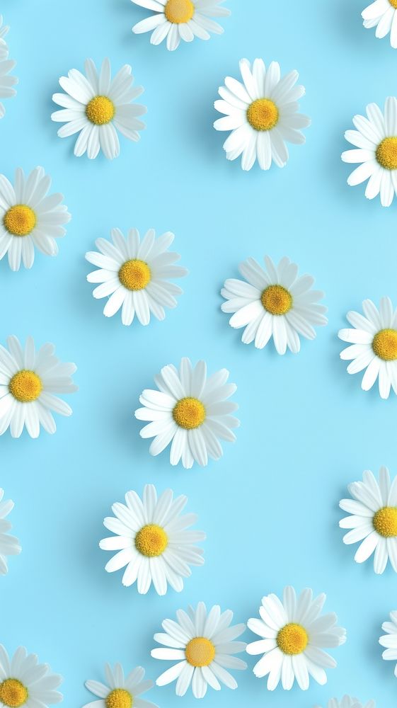 Daisies backgrounds wallpaper flower. AI | Free Photo Illustration ...