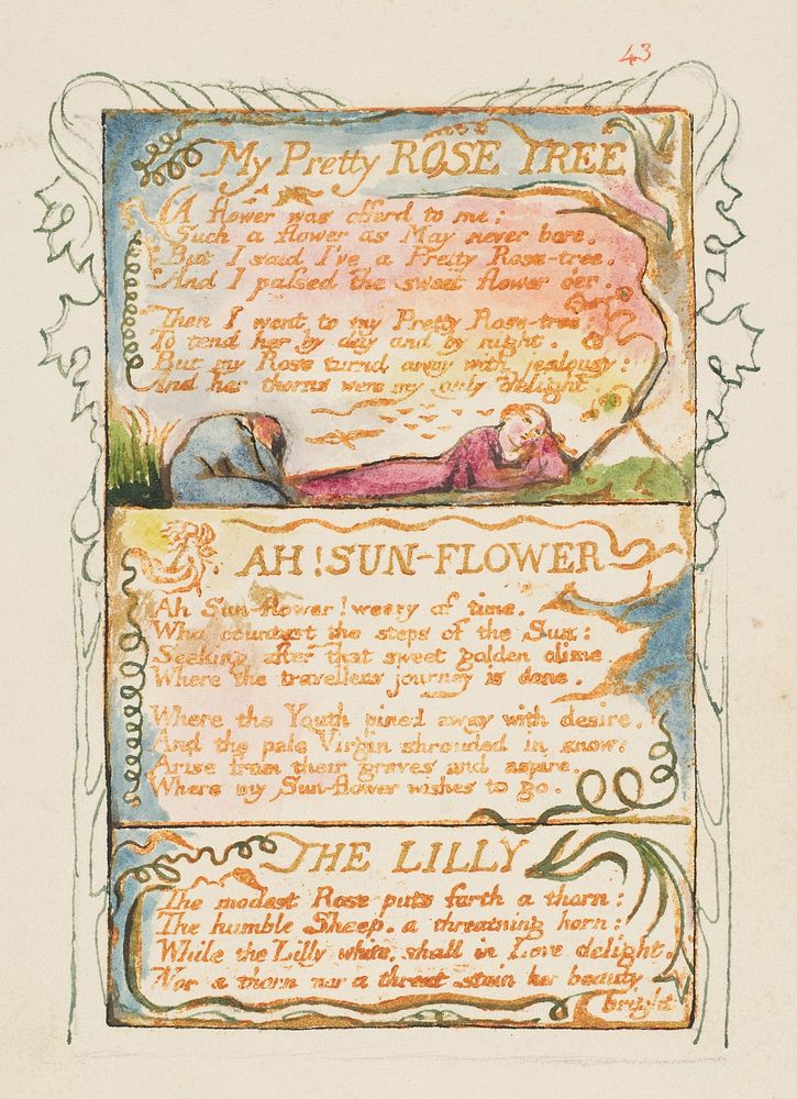 Songs of Innocence and of Experience: My Pretty Rose Tree, Ah! Sun-Flower, The Lily by William Blake