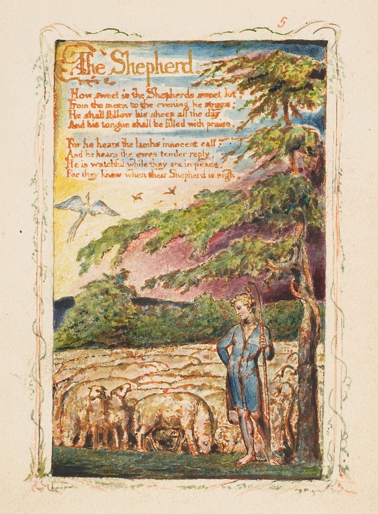 Songs of Innocence and of Experience: The Shepherd by William Blake