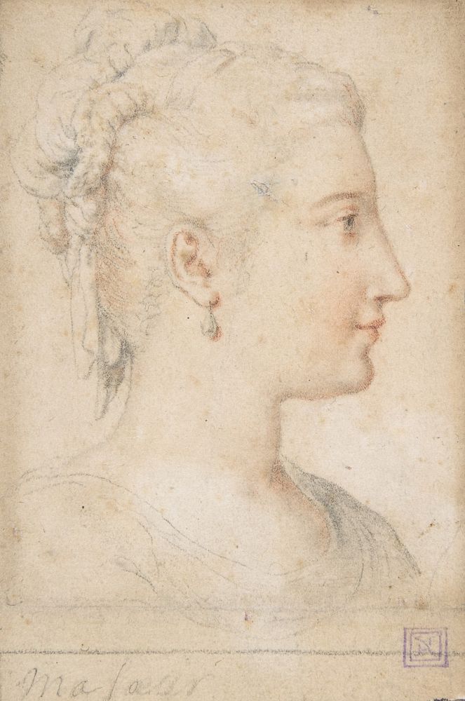 Head of a Woman in Profile, Anonymous, French, 16th century