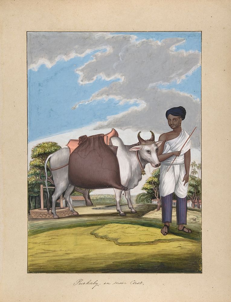 Puckaly in Moor Cast, from Indian Trades and Castes by Anonymous, Indian, 19th century