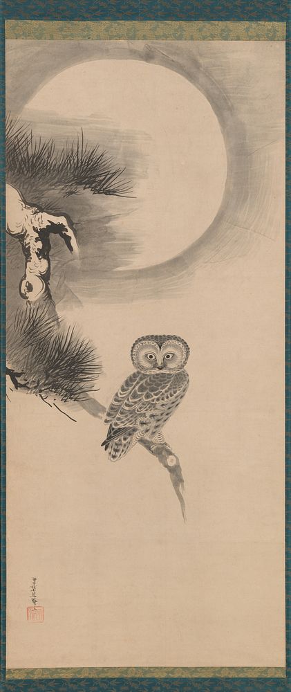 Owl on a Pine Branch 