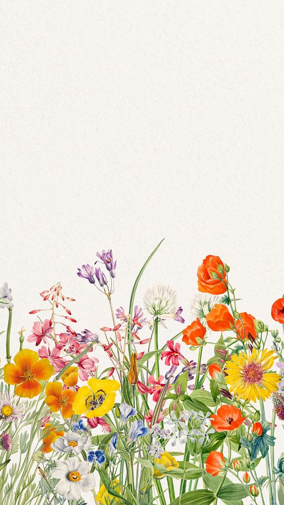 Vintage flower border iPhone wallpaper, Spring botanical illustration