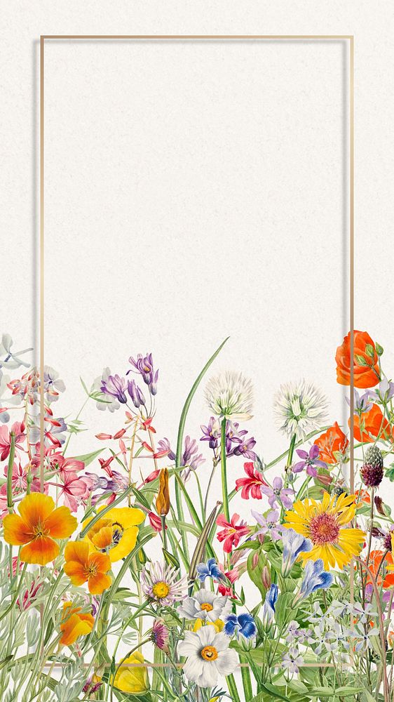 Spring flower iPhone wallpaper, gold frame illustration