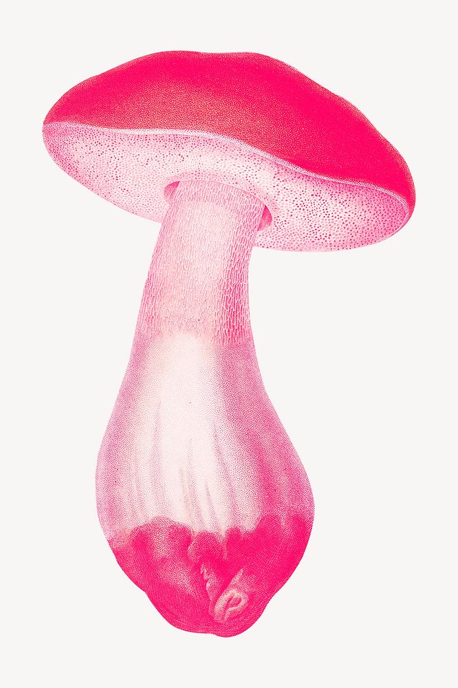 Neon pink mushroom psd