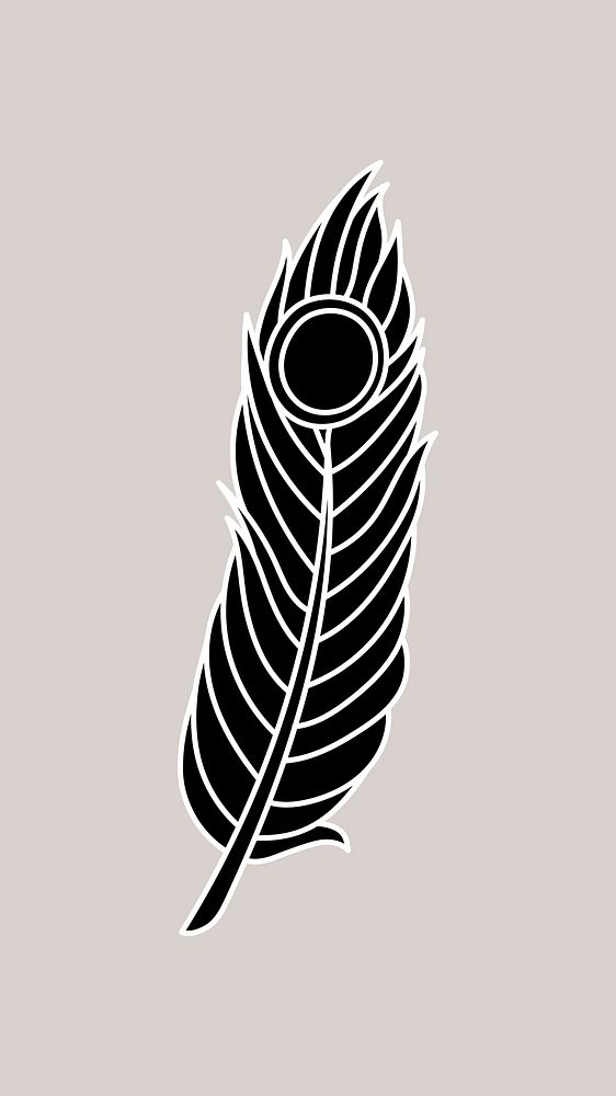 Peacock feather illustration vector