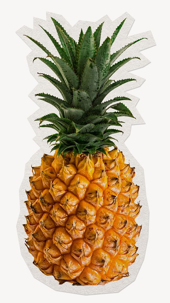Pineapple, tropical fruit paper cut isolated design