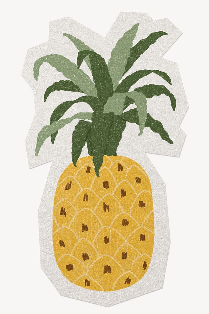 Hand drawn pineapple  paper cut isolated design