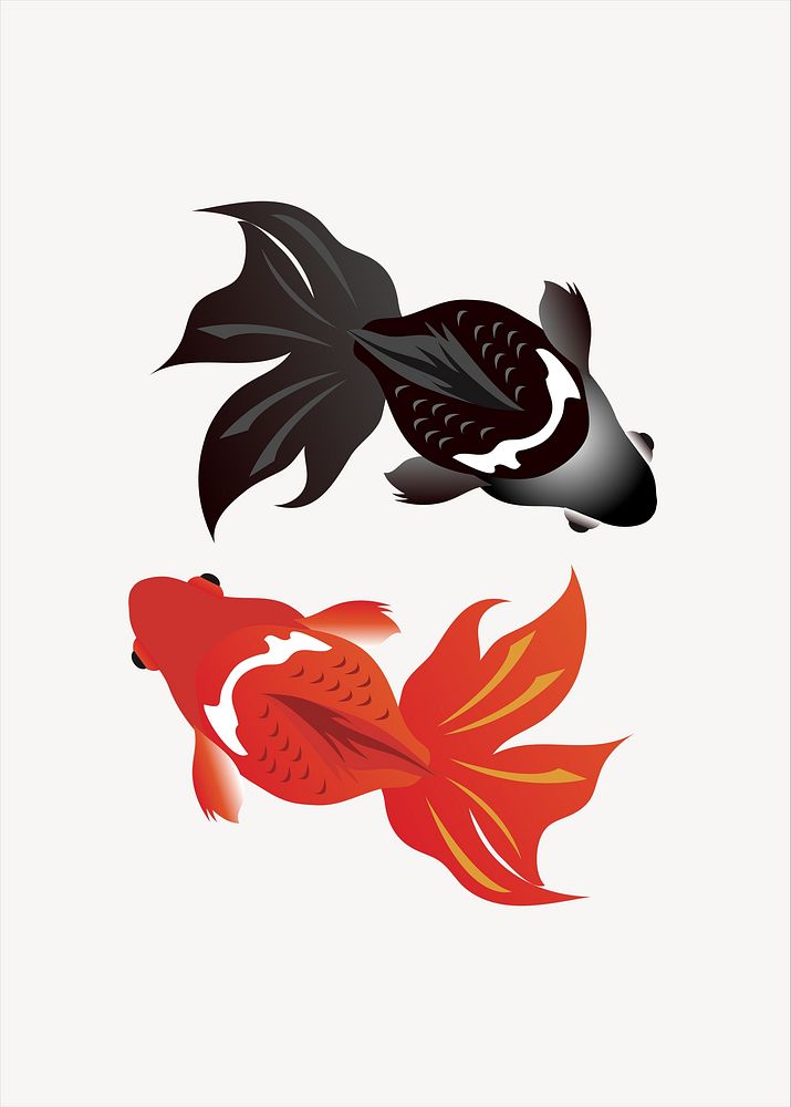 Gold fish and black moors gold fish illustration vector. Free public domain CC0 image.