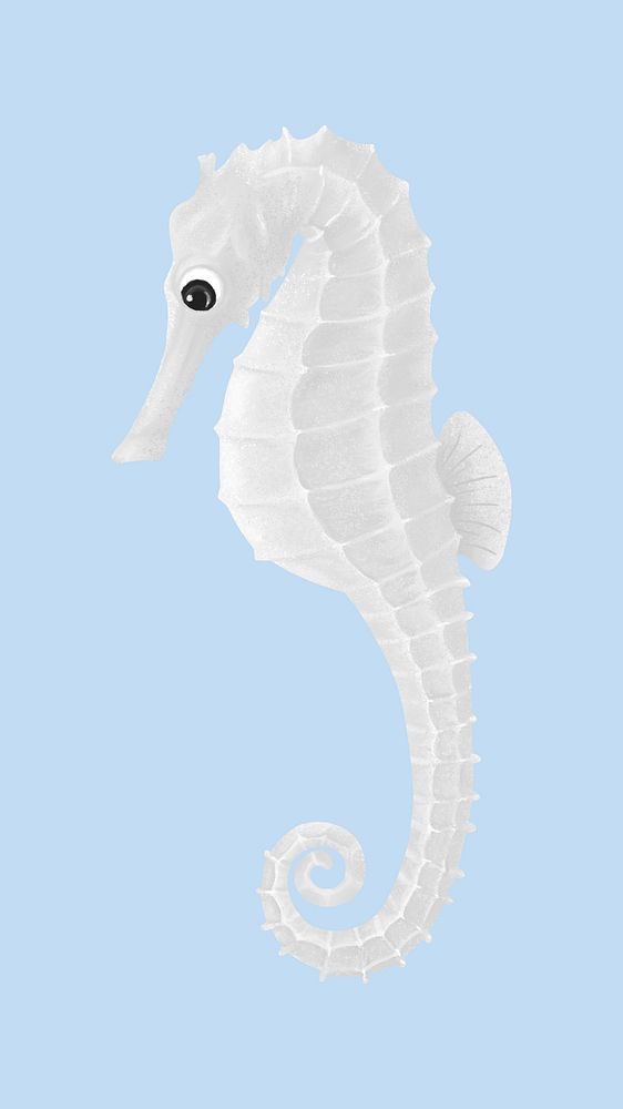 Cute seahorse iPhone wallpaper background | Premium Photo Illustration