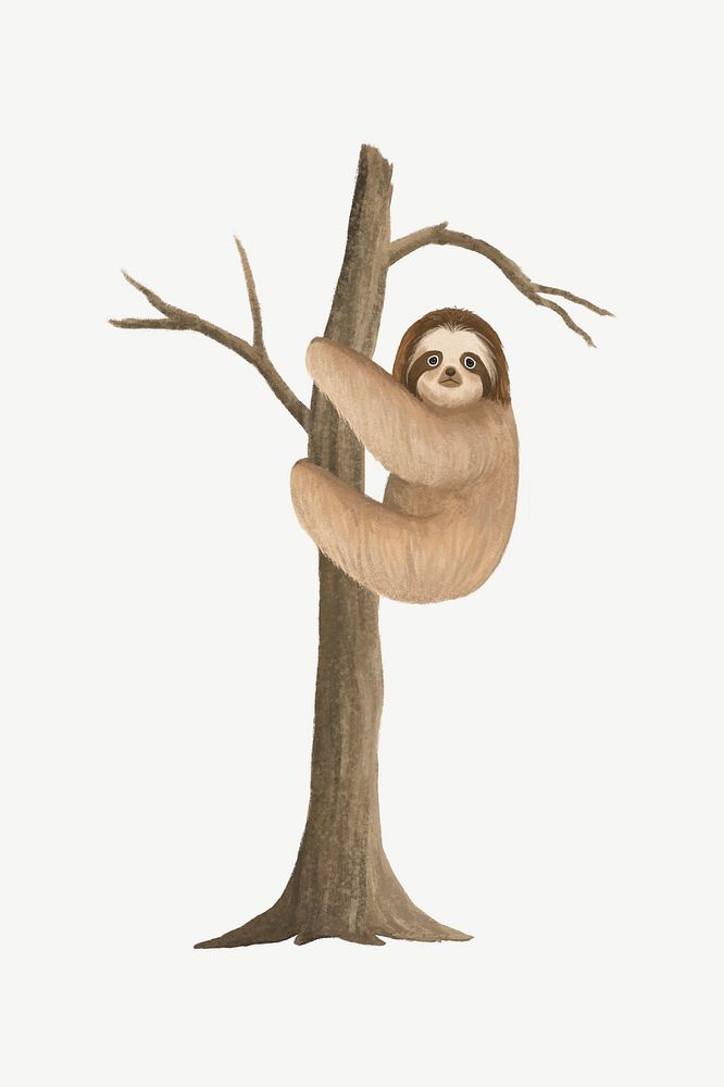 Sloth on tree, animal illustration, collage element psd