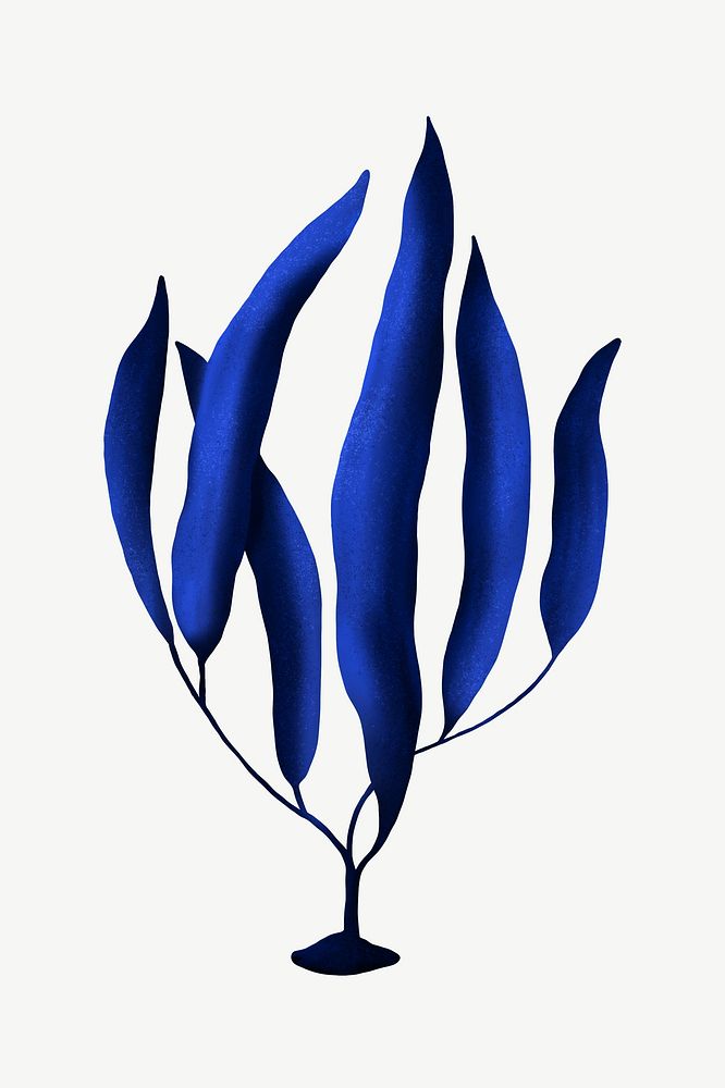 Blue ocean plant, nature illustration collage element psd