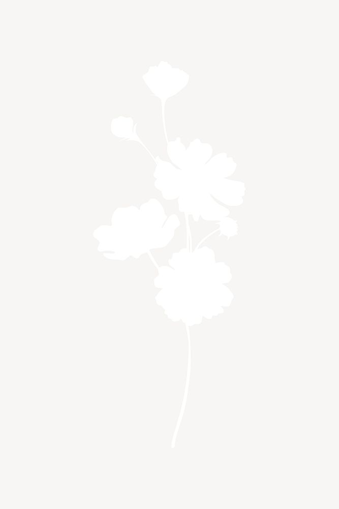 Daisy silhouette flower, botanical illustration