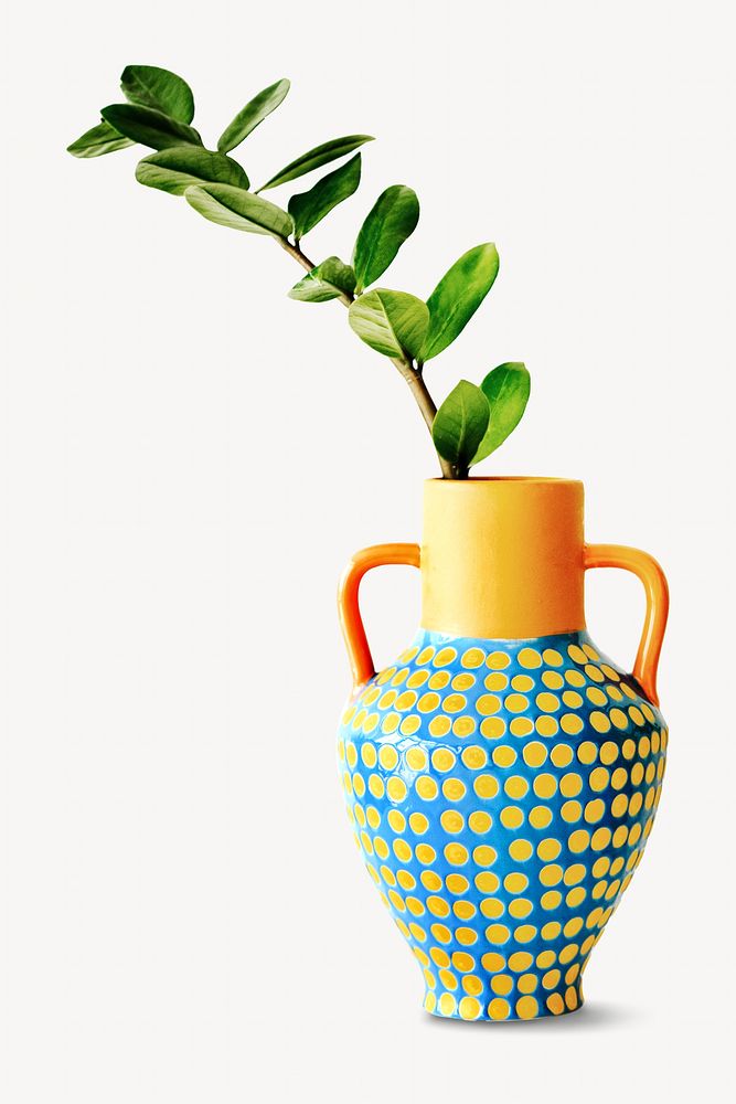 Plants in colorful vase isolated design
