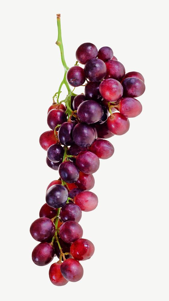 Purple grapes fruit collage element psd
