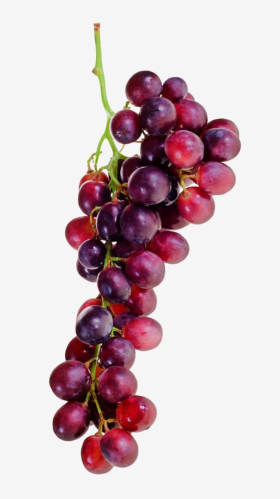 Purple grapes fruit isolated image