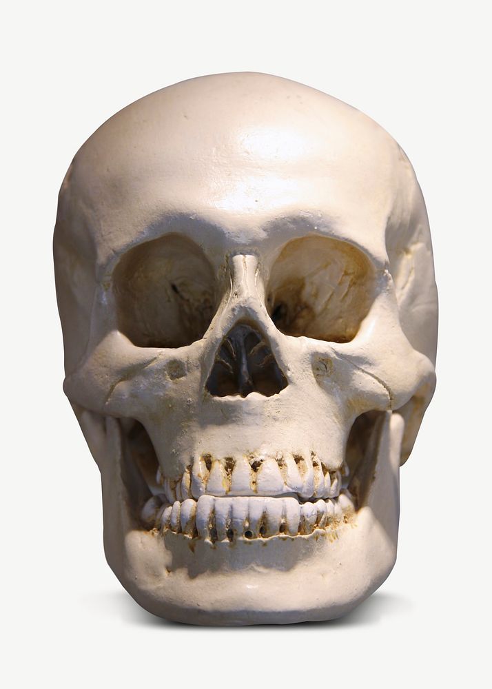 Halloween skull, death collage element psd
