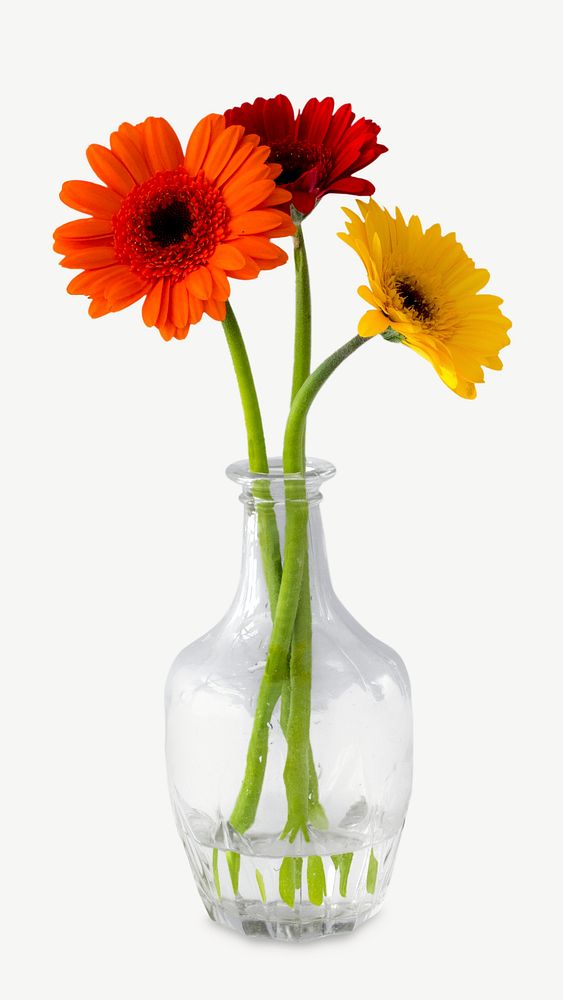 Daisy flower vase collage element psd