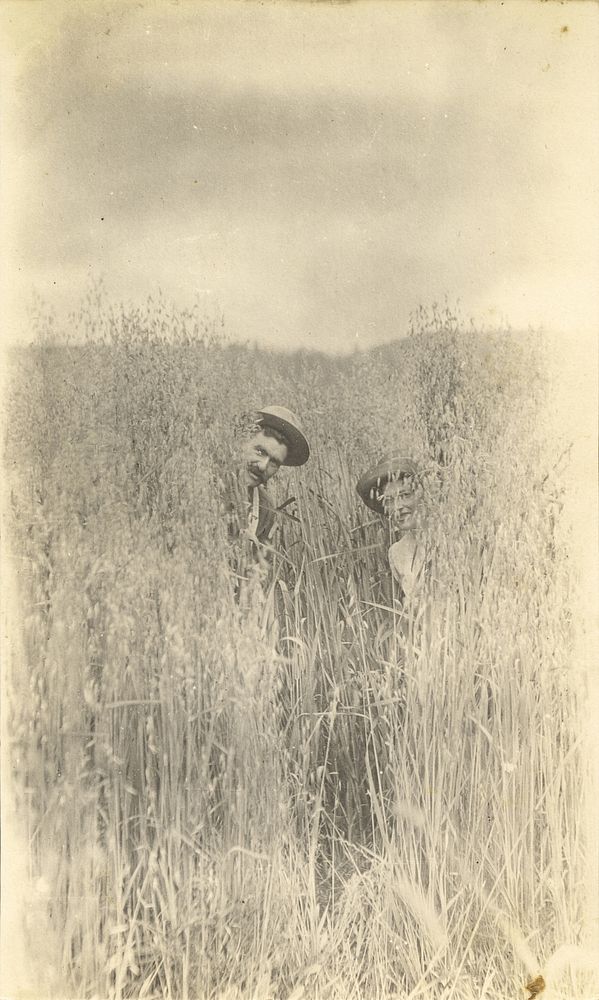  people in wheat