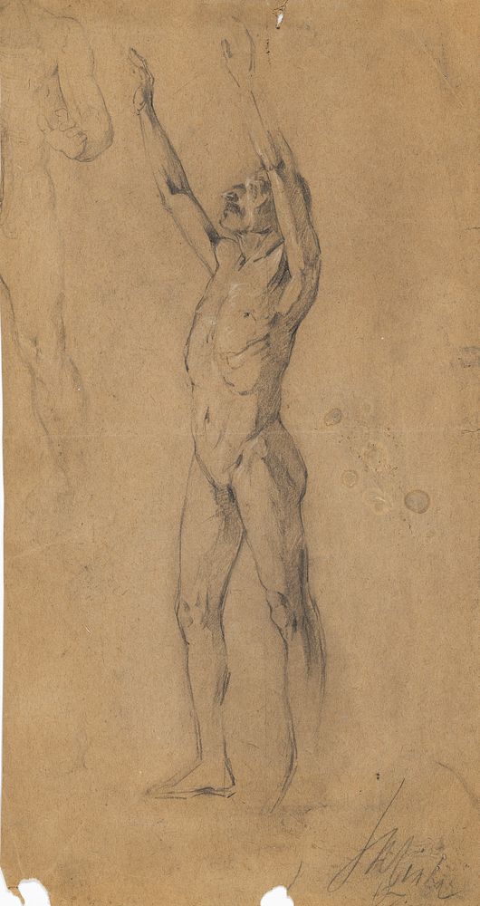 Study sheet male nudes by Egon Schiele