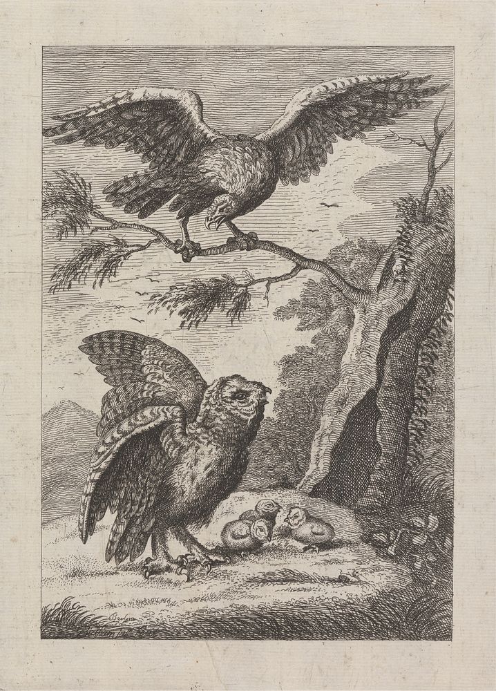 One eagle, one owl and three owlets, a Pl. for 'A New Drawing Book...of Various Kinds of Birds Drawn from the Life by Mr.…