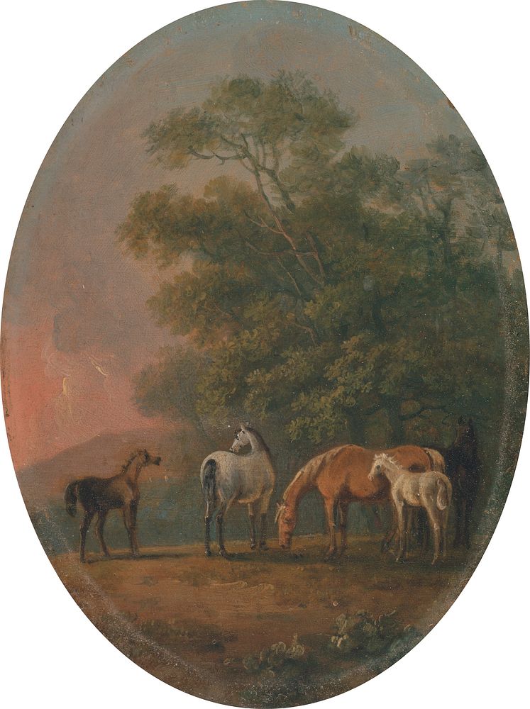 Mares and Foals [1795, Royal Academy of Arts, London, exhibition catalogue]