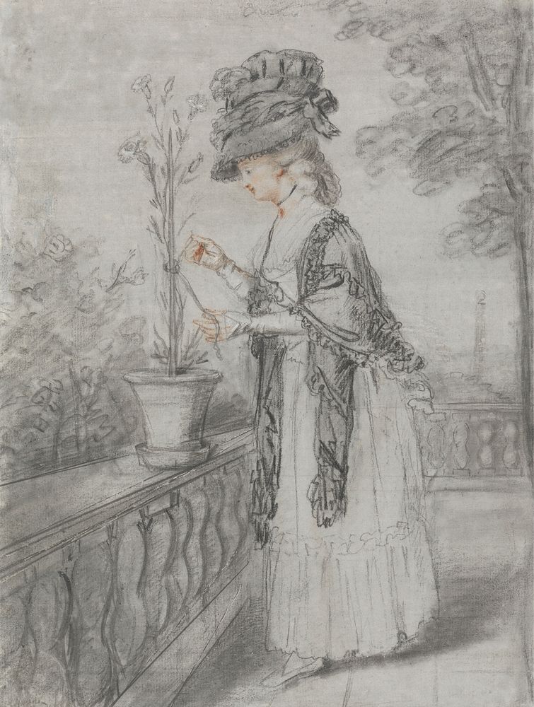 Lady on a Terrace Tending a Carnation Plant