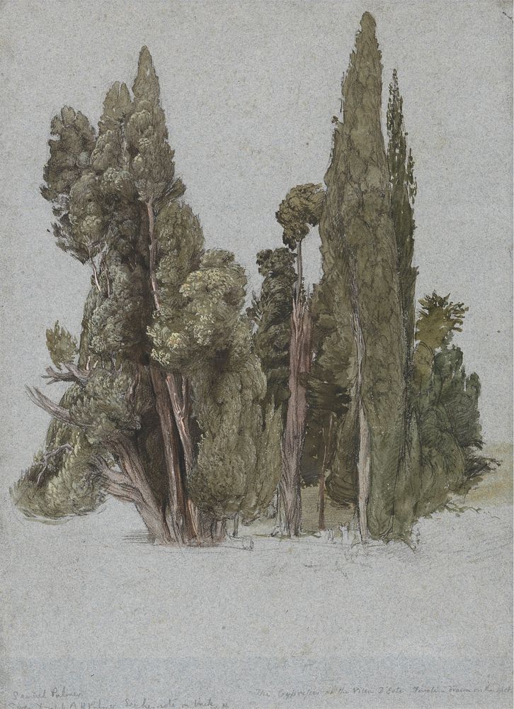 The Cypresses at the Villa d'Este, Tivoli