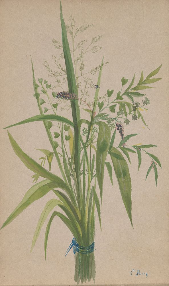 Bouquet of Flowers and Grasses