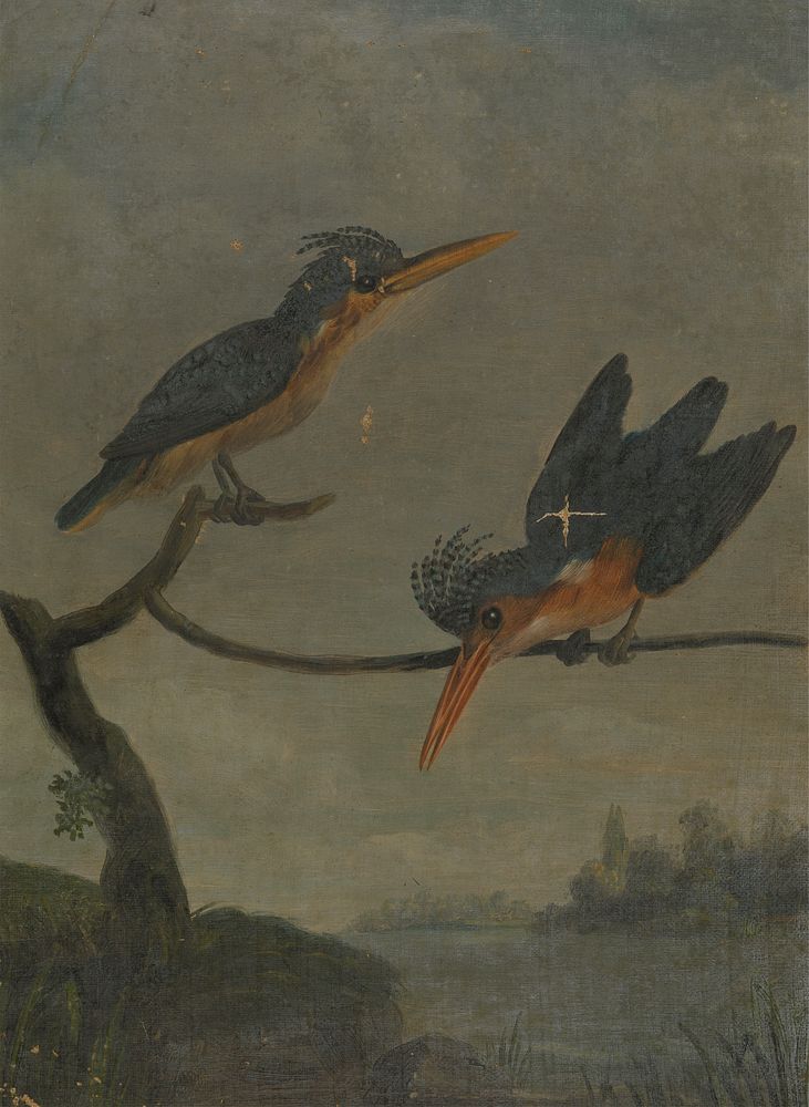 Two Kingfishers beside a Lake