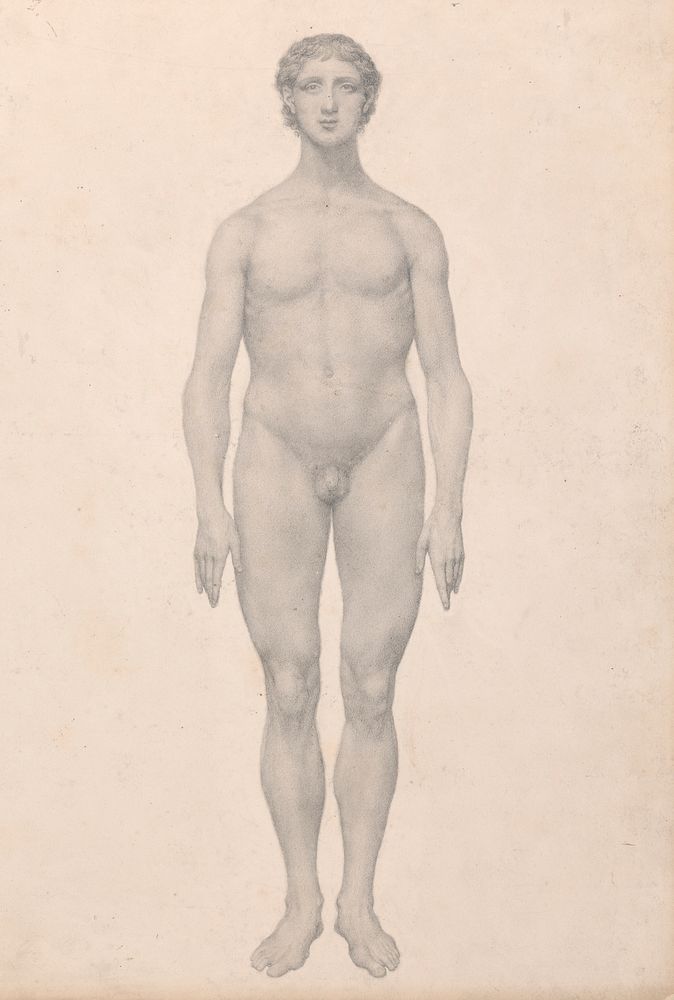 Human Figure, Anterior View, Undissected (Finished Study for Table VI) by George Stubbs