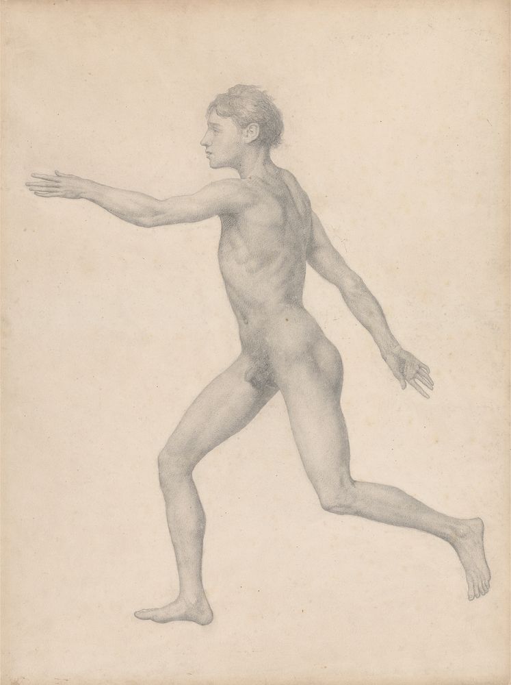 Human Figure, Lateral View, Undissected (Finished Study for Table VIII) by George Stubbs