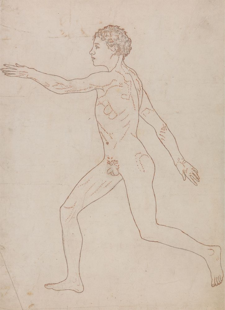 Human Figure, Lateral View (Outline Study in Reverse of Table VIII) by George Stubbs