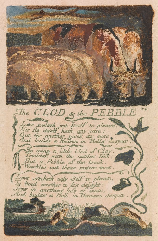 Songs of Innocence and of Experience, Plate 36, "The Clod & the Pebble" (Bentley 32) by William Blake