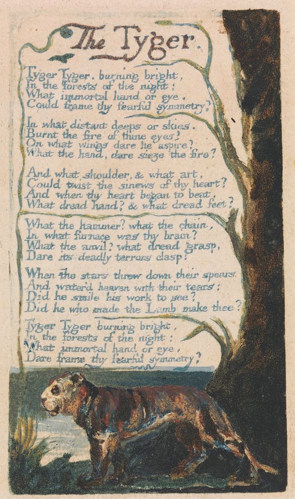 Songs of Innocence and of Experience, Plate 42, "The Tyger" (Bentley 42) by William Blake