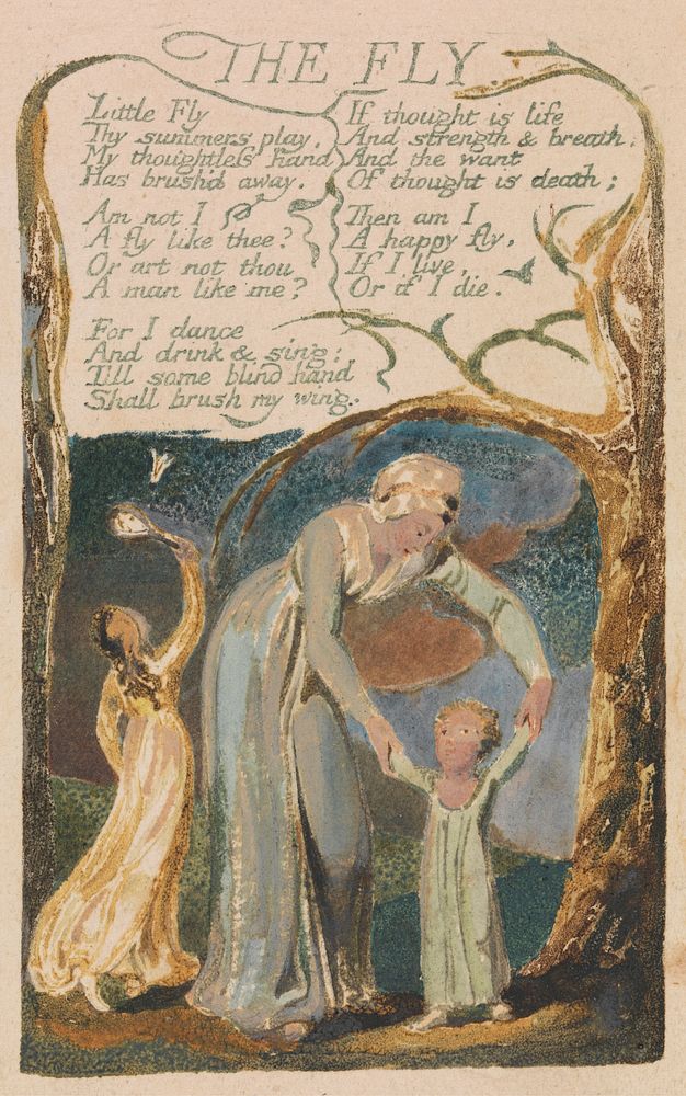 Songs of Innocence and of Experience, Plate 48, "The Fly" (Bentley 40) by William Blake. Original from Yale Center for…