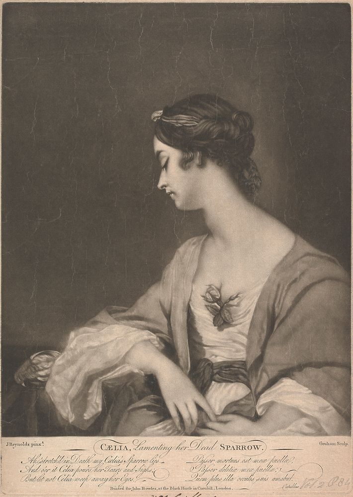 Lady Christiana Collier (née Gwyn)