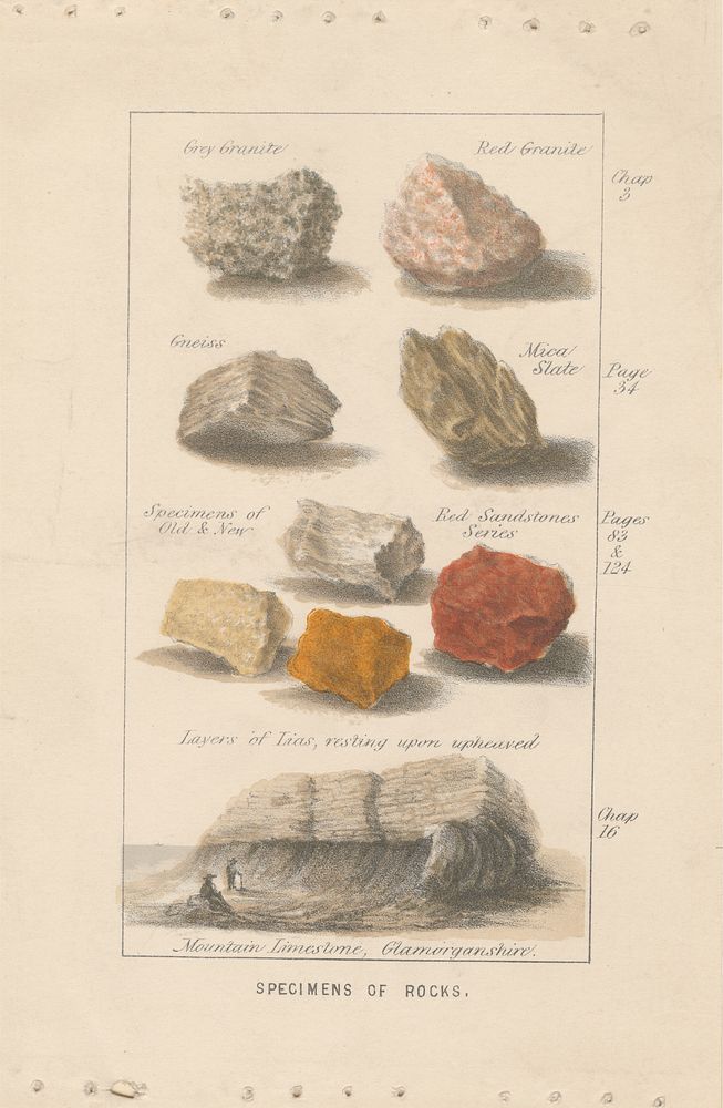 Specimens of Rocks. Proof of an Illustration for Wright's 'Globe Prepared for Man'.