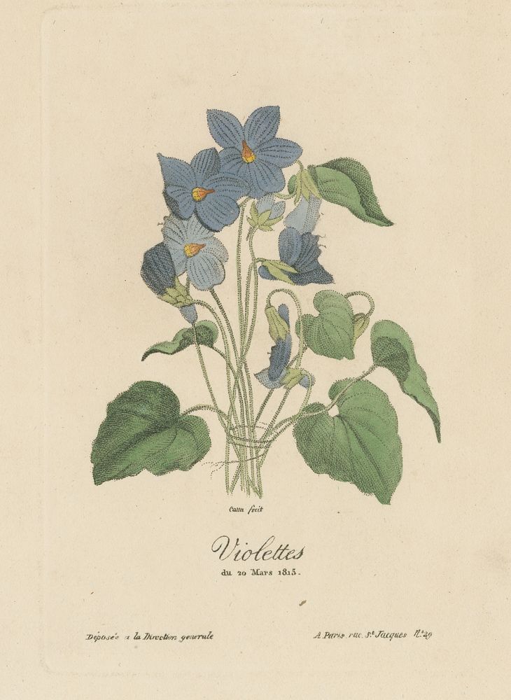 Violettes du 20 Mars 1815 / Cana fecit.