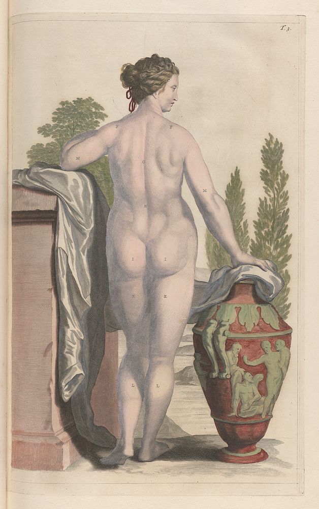 The anatomy of humane bodies, with figures drawn after the life ... and curiously engraven in one hundred and fourteen…