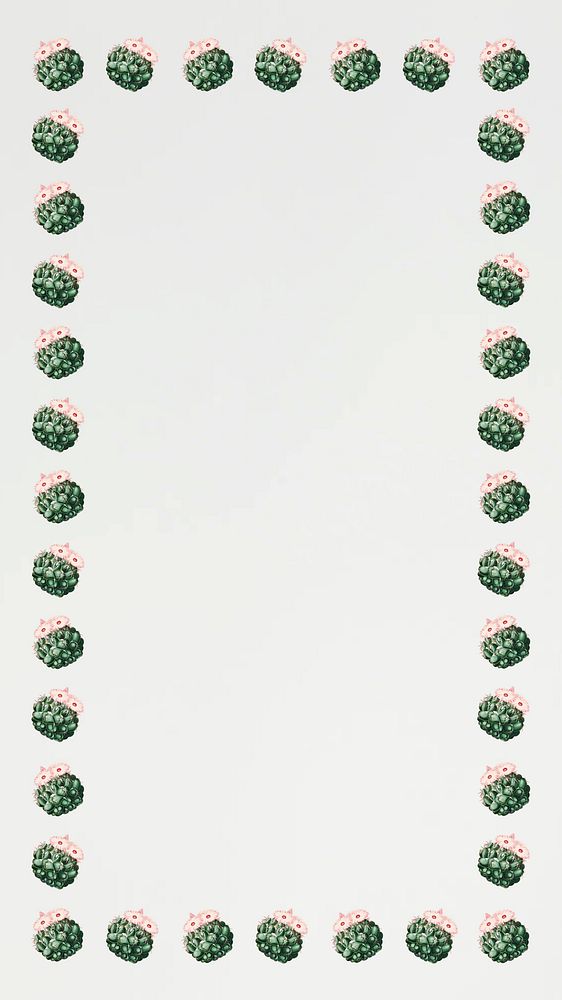 Cactus pattern border iPhone wallpaper