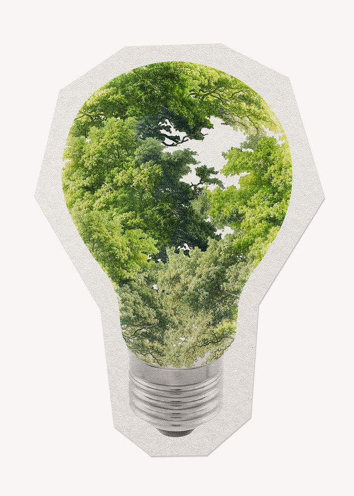 Eco bulb paper element with white border